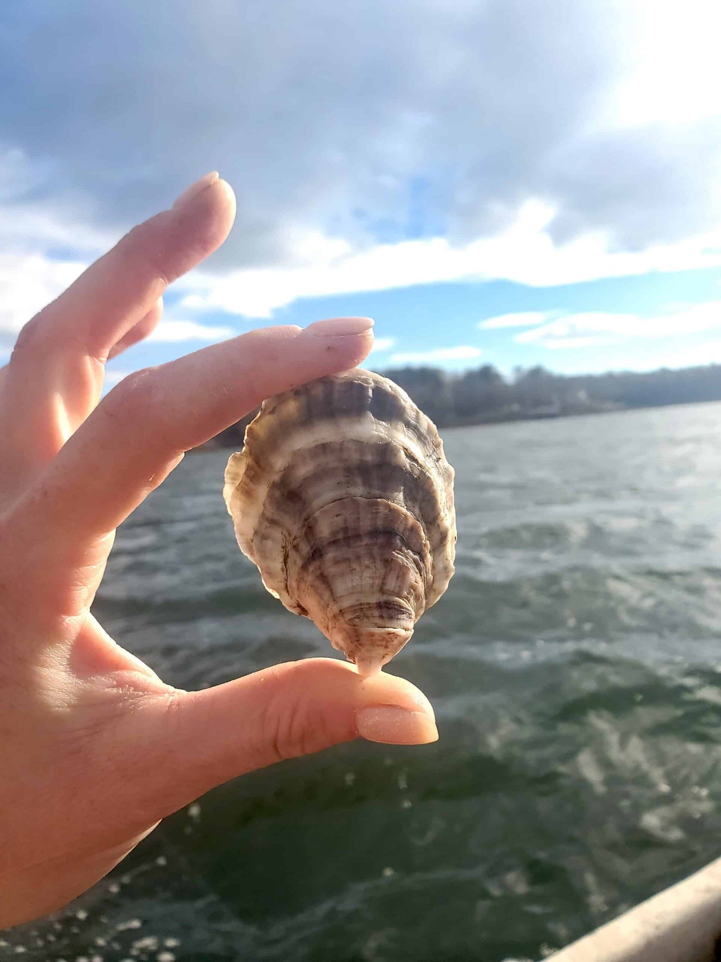 100 Mere Point Petites