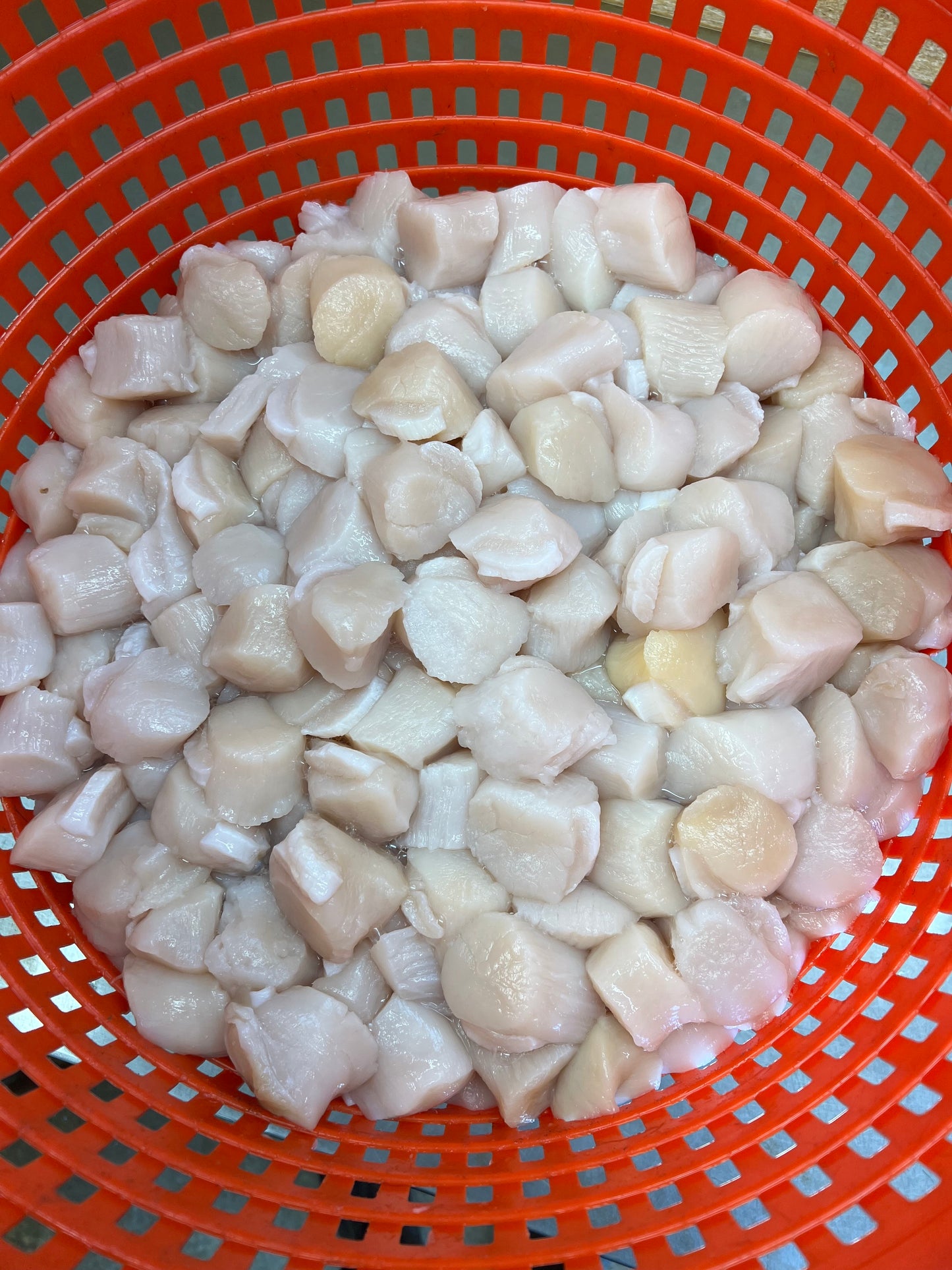 Maine Diver Scallops*