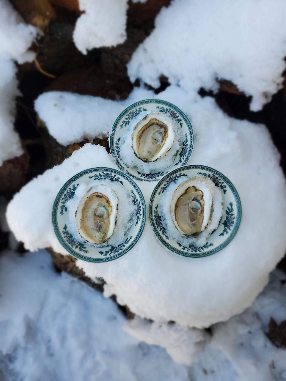 18 Cocktail Oysters